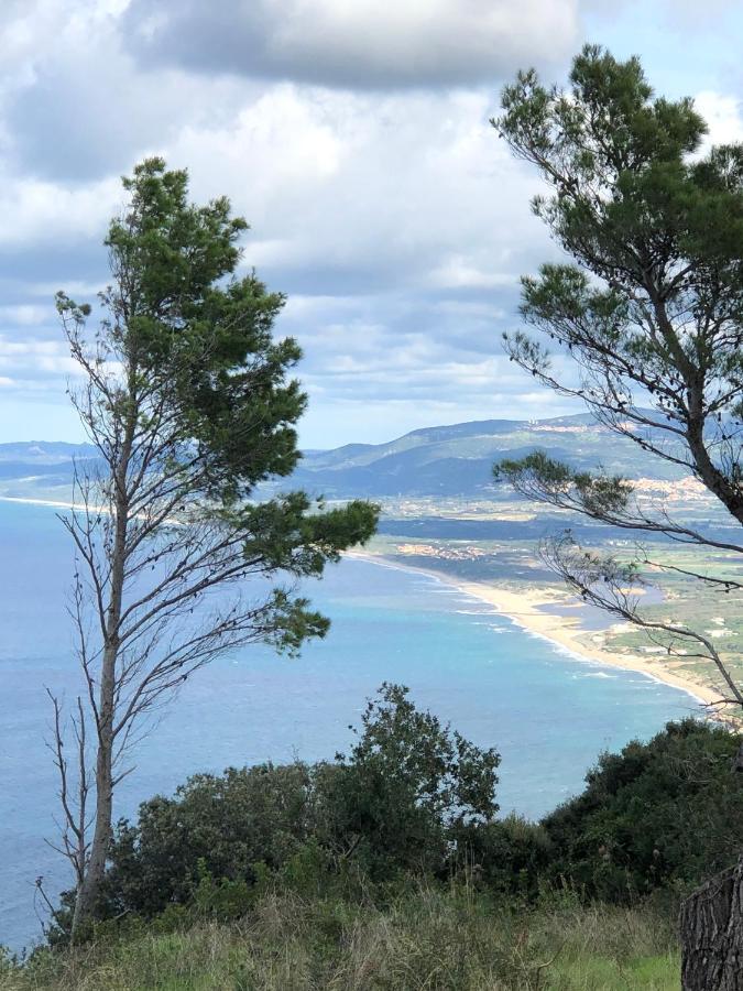Apartment Tramonto Sea-Front Valledoria  Εξωτερικό φωτογραφία