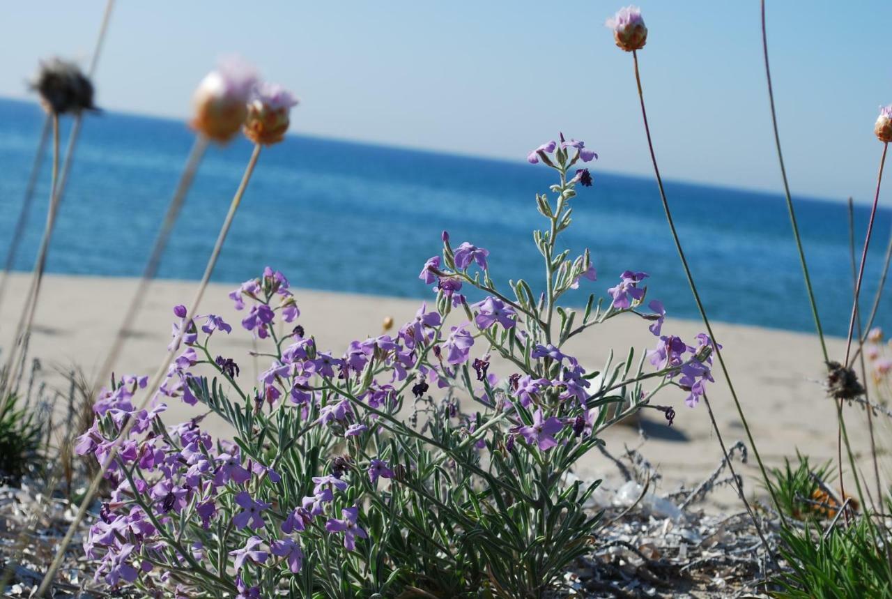 Apartment Tramonto Sea-Front Valledoria  Εξωτερικό φωτογραφία