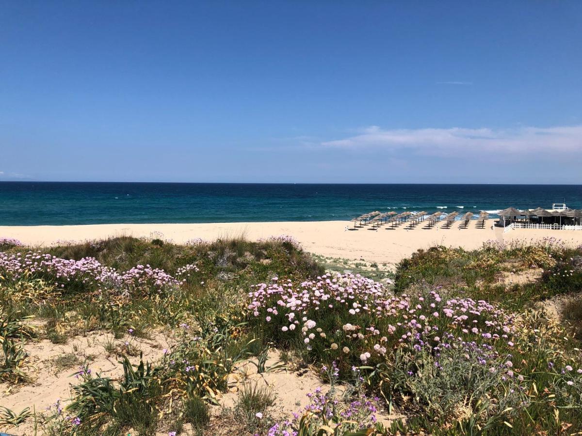 Apartment Tramonto Sea-Front Valledoria  Εξωτερικό φωτογραφία