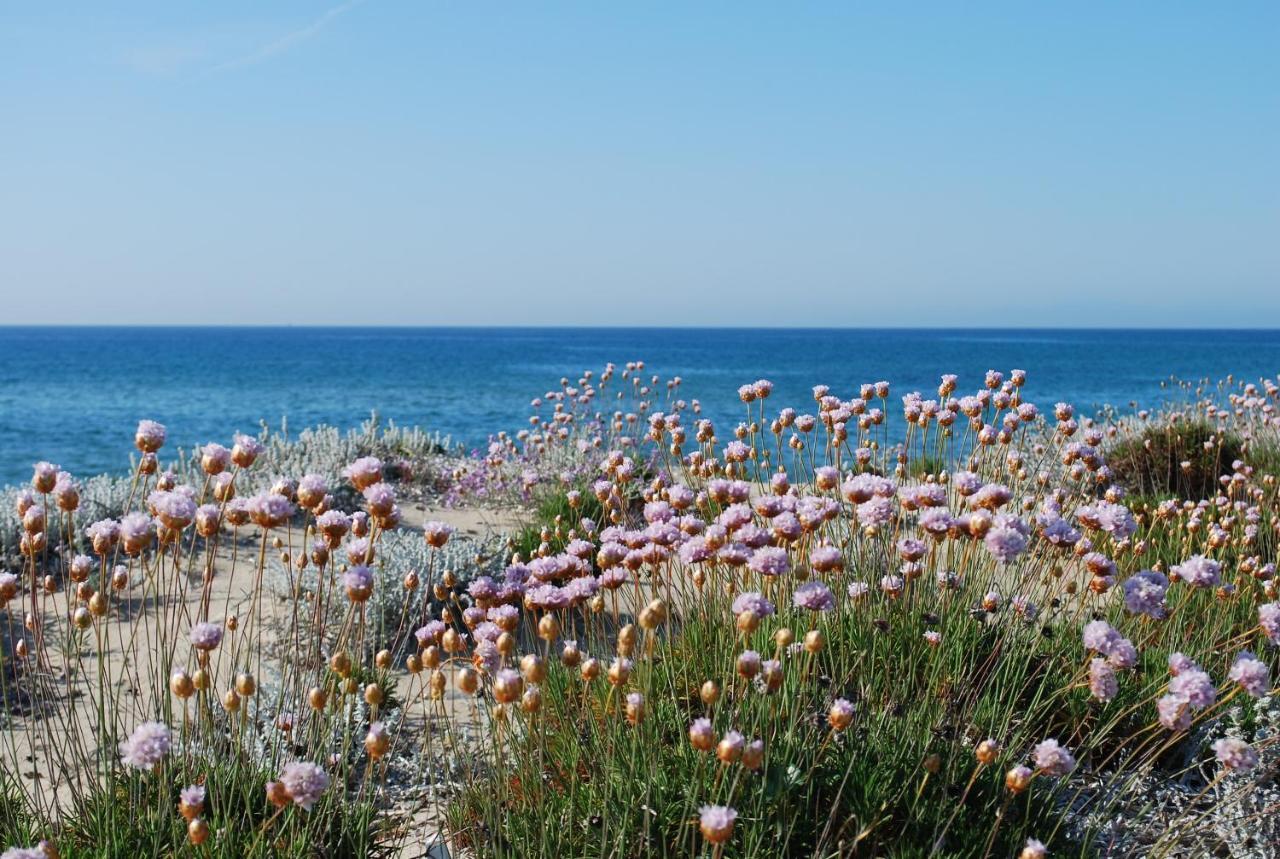 Apartment Tramonto Sea-Front Valledoria  Εξωτερικό φωτογραφία
